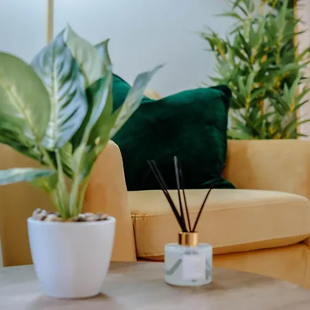 Apartment Mayfield Two - *