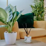 Διαμέρισμα Classic - *